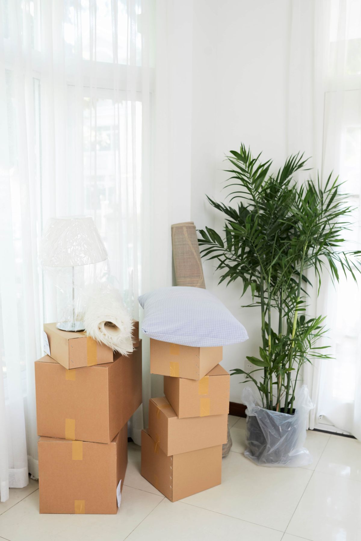 Move-in move-out cleaning Charleston SC